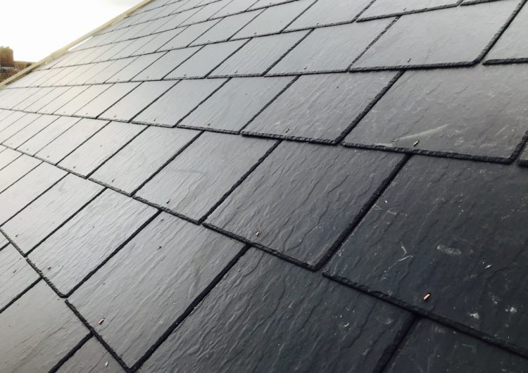 Roof Repairs project 2